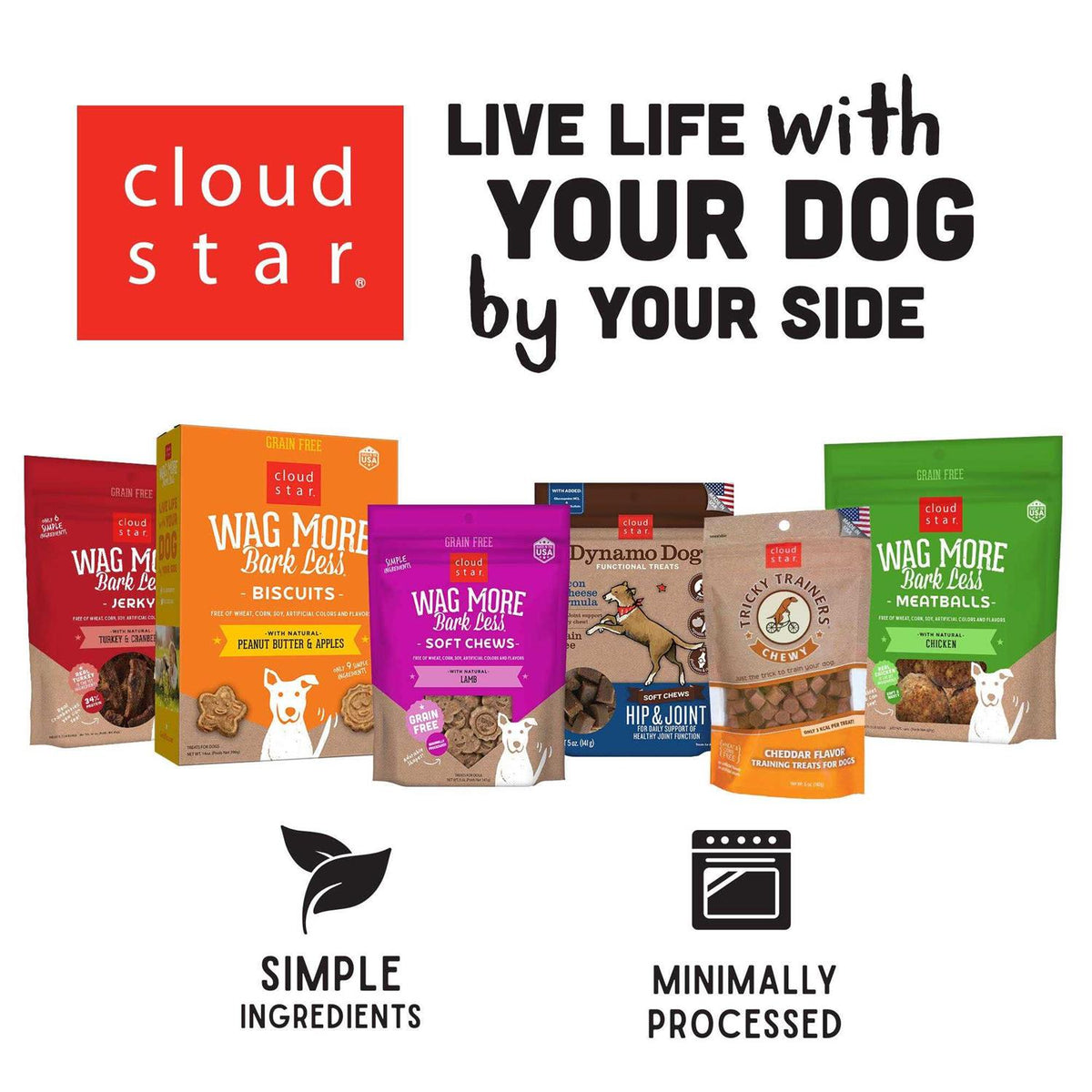 Pumpkin & Ginger Dog Treats Y277088