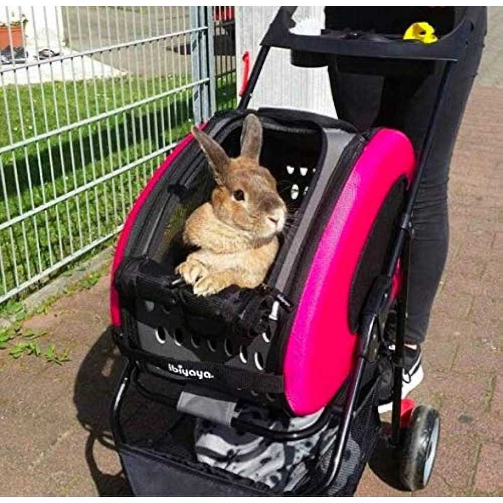 5-in-1 EVA Pet Carrier Stroller Y871