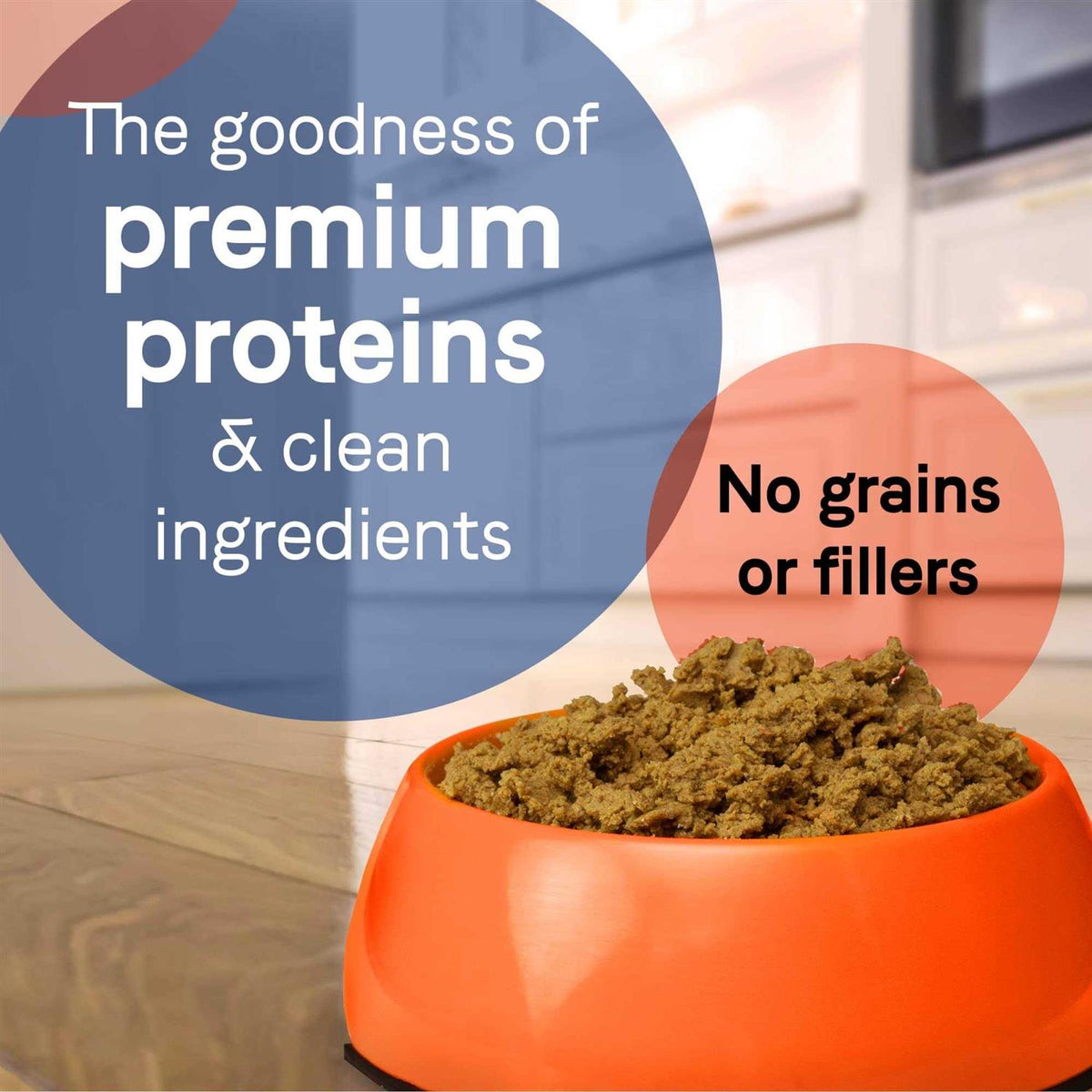 Grain-Free Salmon & Sweet Potato Canned Dog Food N415