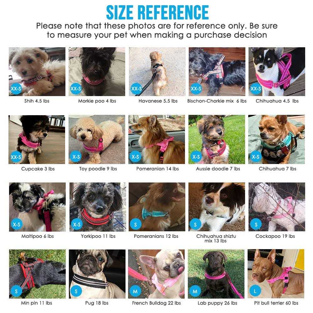 Heavy Duty Adjustable Reflective Dog Harness and Leash N36539