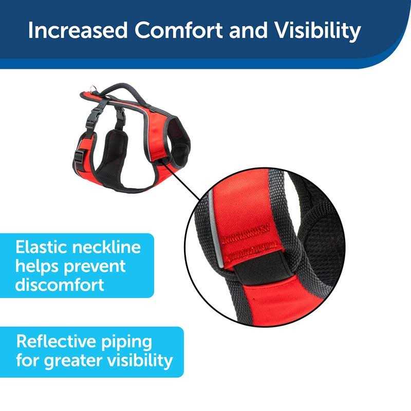 Dog Harness C844991