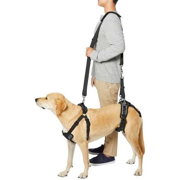 Dog Harness A87838