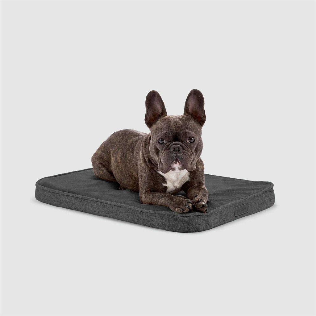 Memory Foam Dog Bed E3434