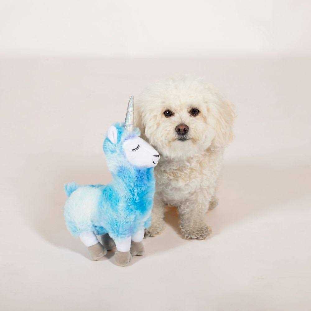 Dog Toy K76050