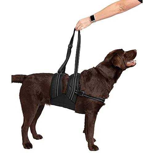 Veterinarian Approved Dog Sling Assist with Chest Strap R189648