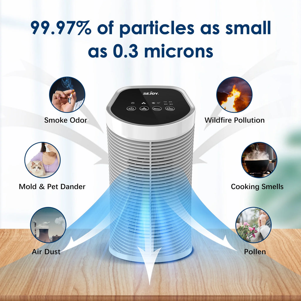 Air Purifier True HEPA Filter 3 Speeds V402794
