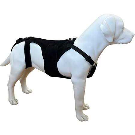 Dog Back Brace Z26421