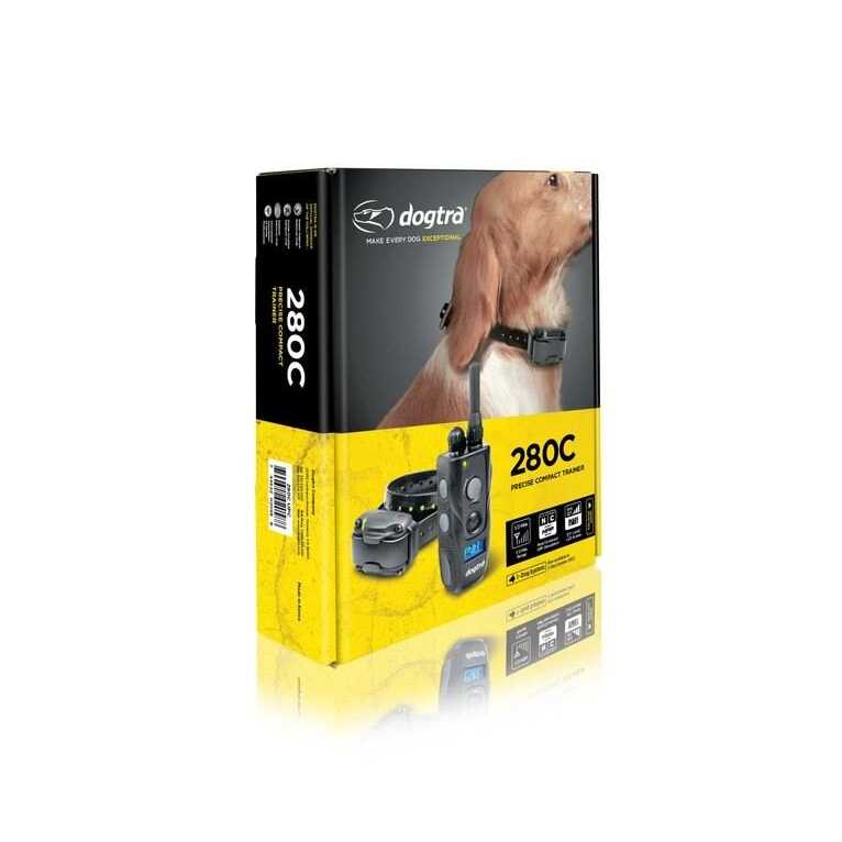 Dog Remote Training Collar B3438