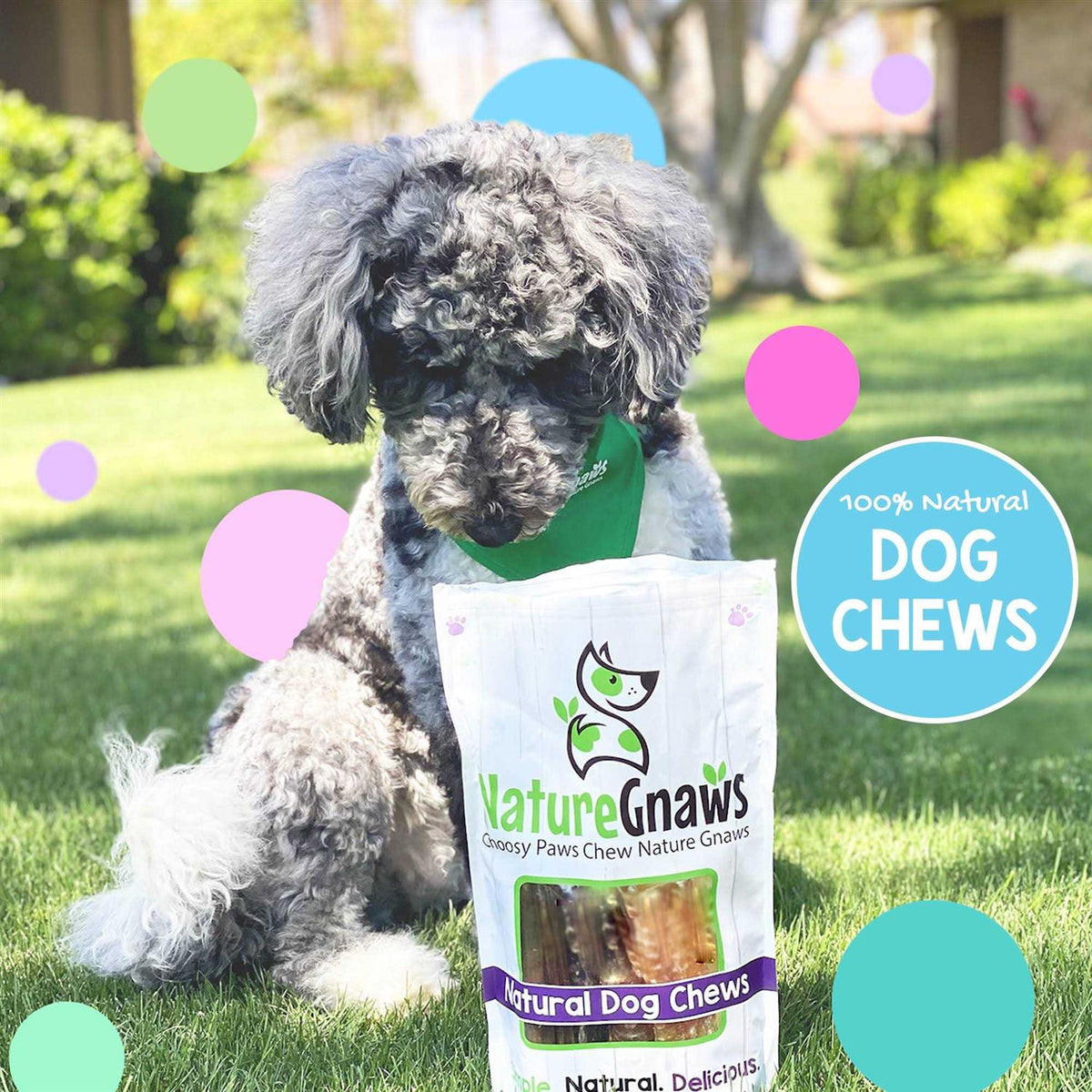 Natural Dog Chews Variety Pack P32357