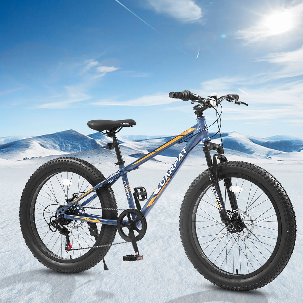 24 inch Mountain Bike with Fat Tires P408