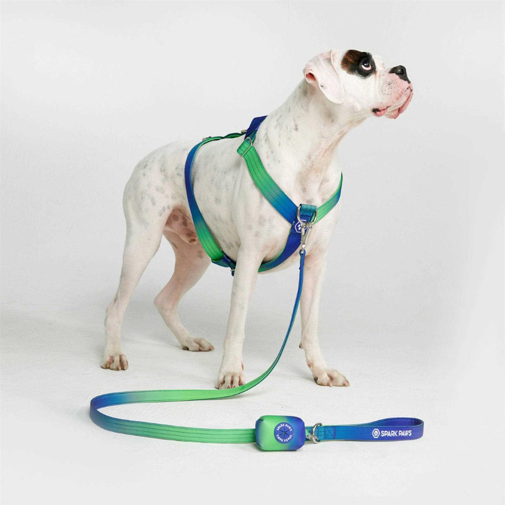 No-Pull Dog Harness F620