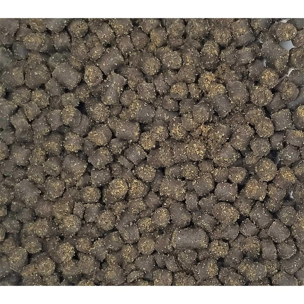 Soft Pellets for Axolotls Moist Sinking Diet Q967