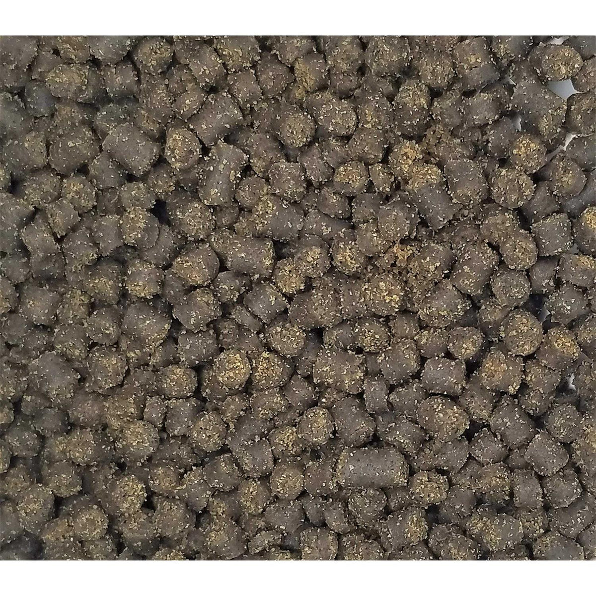 Soft Pellets for Axolotls Moist Sinking Diet Q967