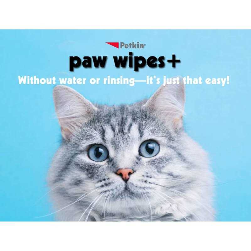 Chlorhexidine Antiseptic Dog & Cat Wipes M811887