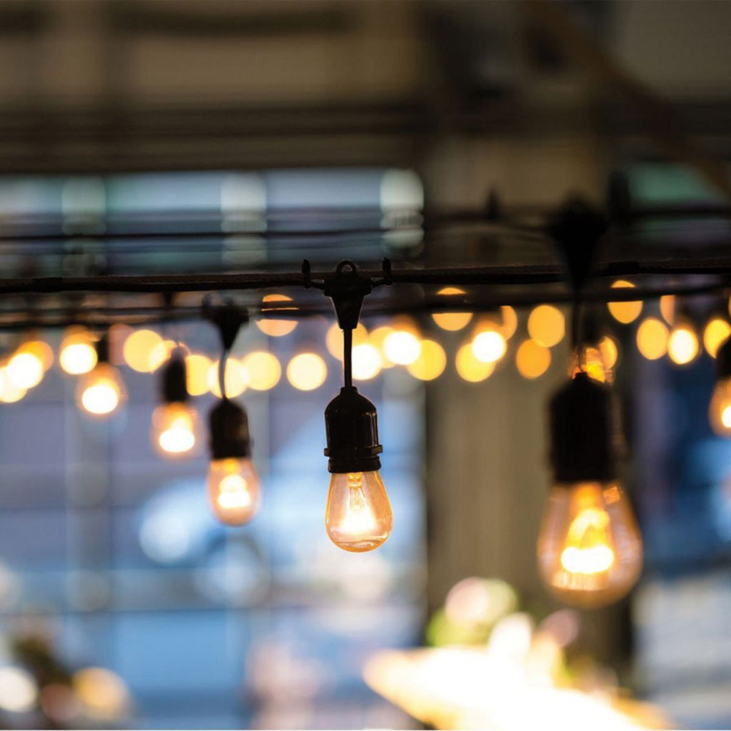 Black 12-Bulb Incandescent String Lights Z9059