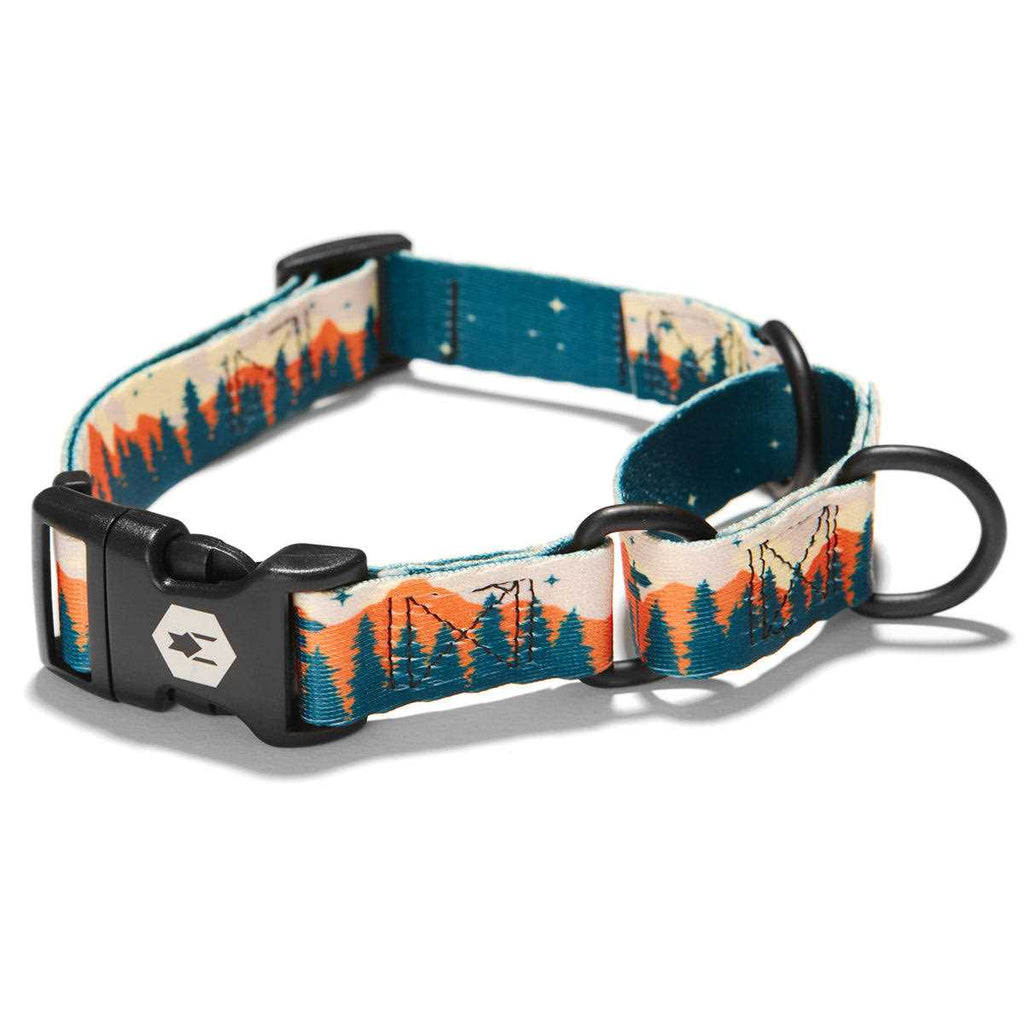 Martingale Dog Collar A238