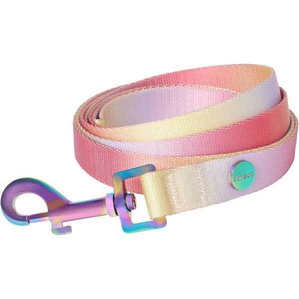 Dog Leash F885