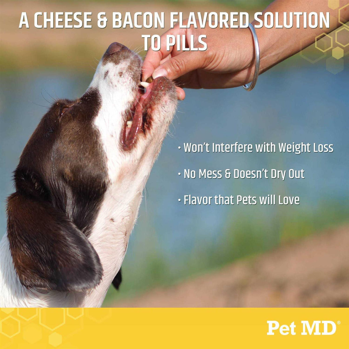 Cheese & Bacon Flavor Pill Paste for Dogs X387