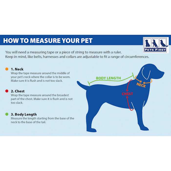 Pet Collar D2249