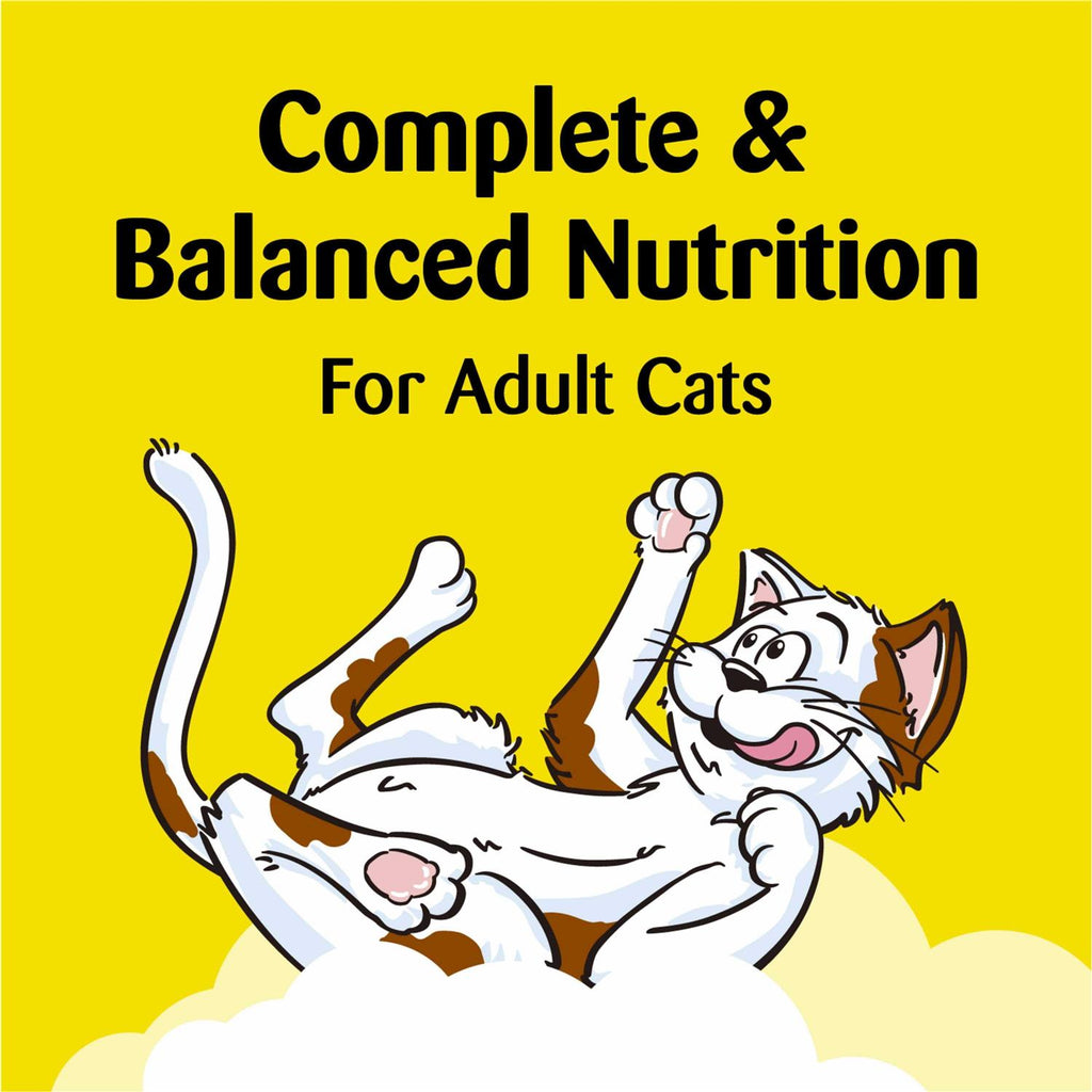 Crunchy and Soft Cat Treats O3593