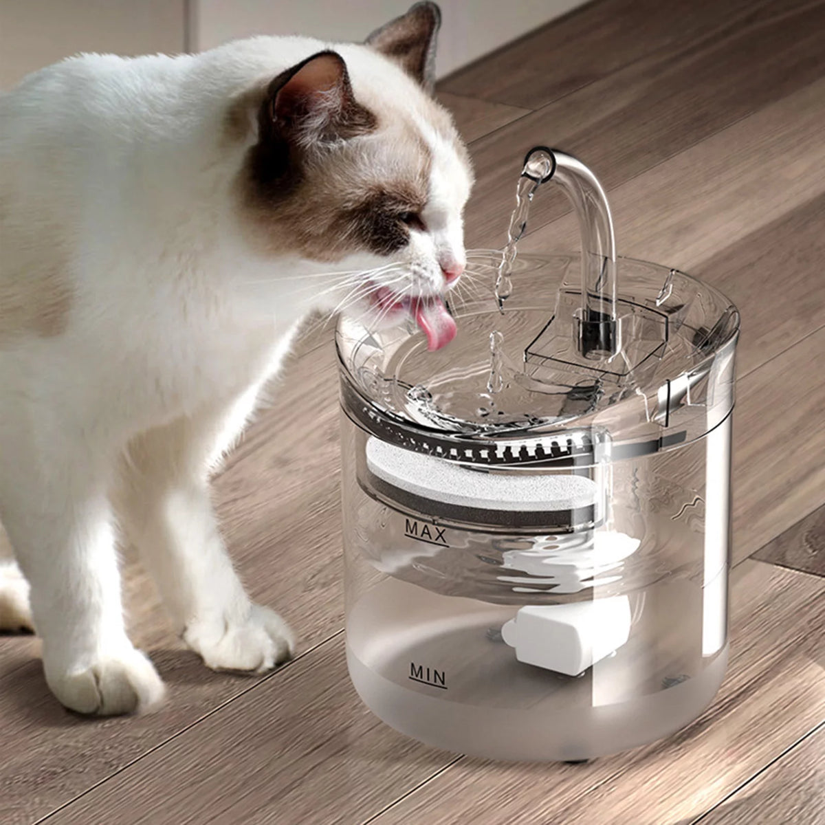 2L Automatic Pet Drinking Fountain Z29867