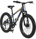 24 inch Mountain Bike with Fat Tires P408