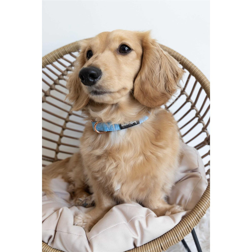 Dog Collar G5401