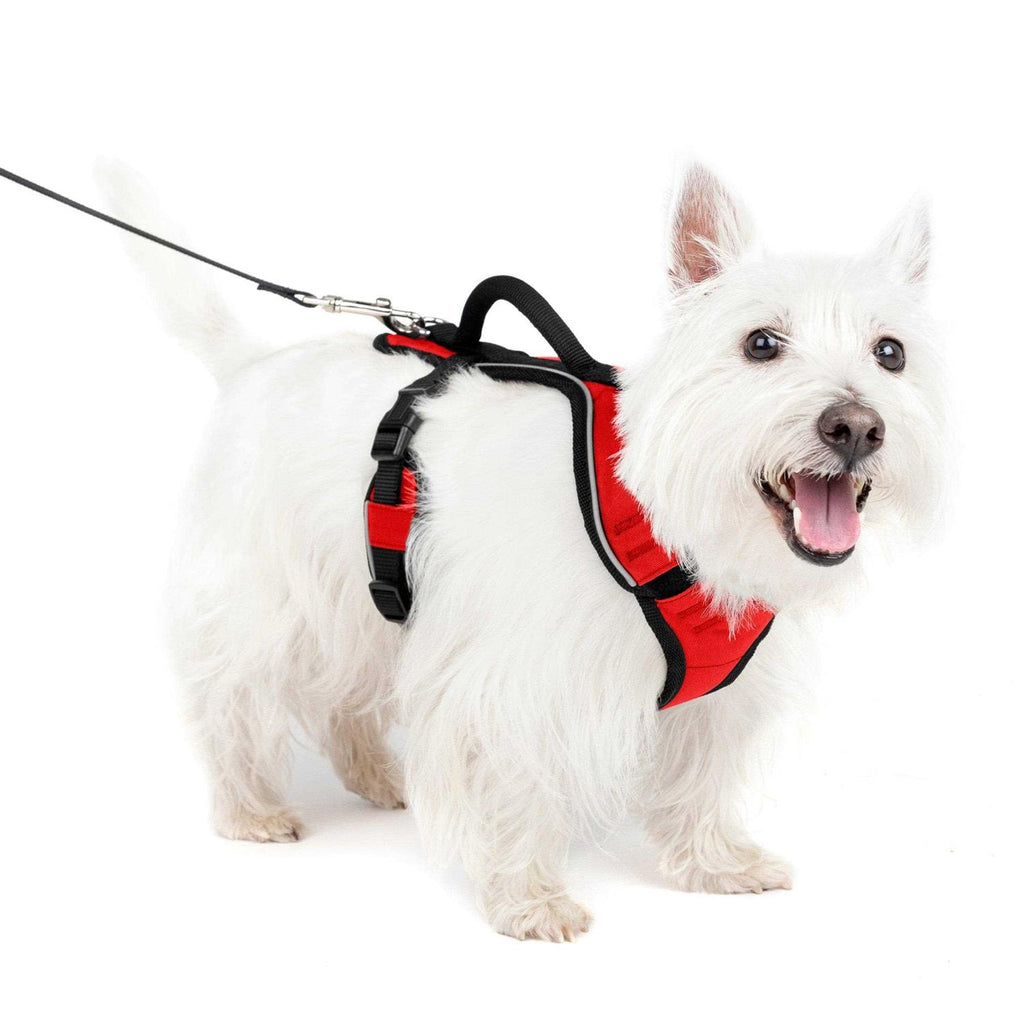 Dog Harness C844991